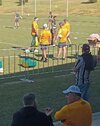 Kangaroos in Albury 1.jpg