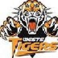 tigers_are_premiers