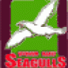 Seagullsrock