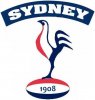 2010 Sydney Roosters.jpg