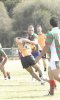 Hobart Tigers RLFC3.jpg