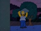 Homer storm.jpg