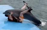 1749208046425.png