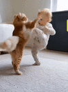 Screen_Recording_20250619_204512_Pinterest(1).gif