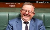 Anthony-Albanese-laughing-300x500-1.jpg