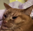 zzzz.png