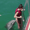 1000002747.gif