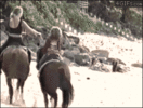 IMG_1083.gif