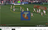roosters_def1.png
