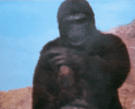1753438756947.gif