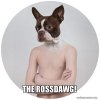 a rossdawg.jpg