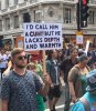 donald-trump-uk-visits-protest-signs-21-5cf61e4197880__700.jpg
