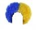 Blue and Gold Wig.JPG