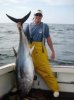 images bluefin tuna).jpg