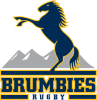 330px-Brumbies_Rugby_logo.svg.png