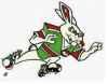 1982 Souths logo.png