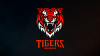 Brisbane-Tigers-Brand-Reveal-1536x862.png