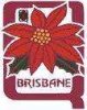 Combined_Brisbane_Division_Poinsettia_Badge.jpg