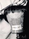 Karloffs hairpiece.jpg