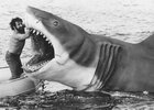 Joe-Alves-Jaws-2.jpg