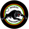 Penrith Panthers.png