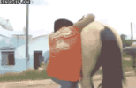 not-cowboy-material-im-afraid.gif