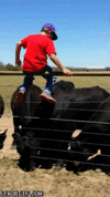 60CC8711-D046-412C-9D3A-A6095B61EE6E.gif