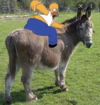 Homer donkey.png