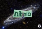 NIB logo.jpg