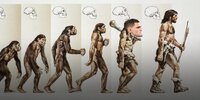 human-evolution-gettyimages-122223741.jpg