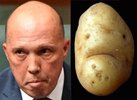 Dutton the Dud Potatoe.jpg