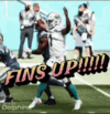 fins-up-dolphins.gif