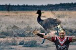 jumping_emu_by_greencash_d5u4bot-fullview.jpg