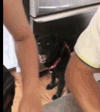 1000002153.gif