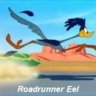 Roadrunner