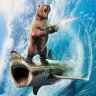 bearshark