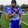 Belmore Dog